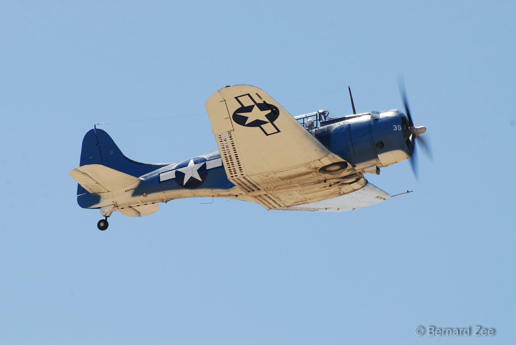 DSZ_6768